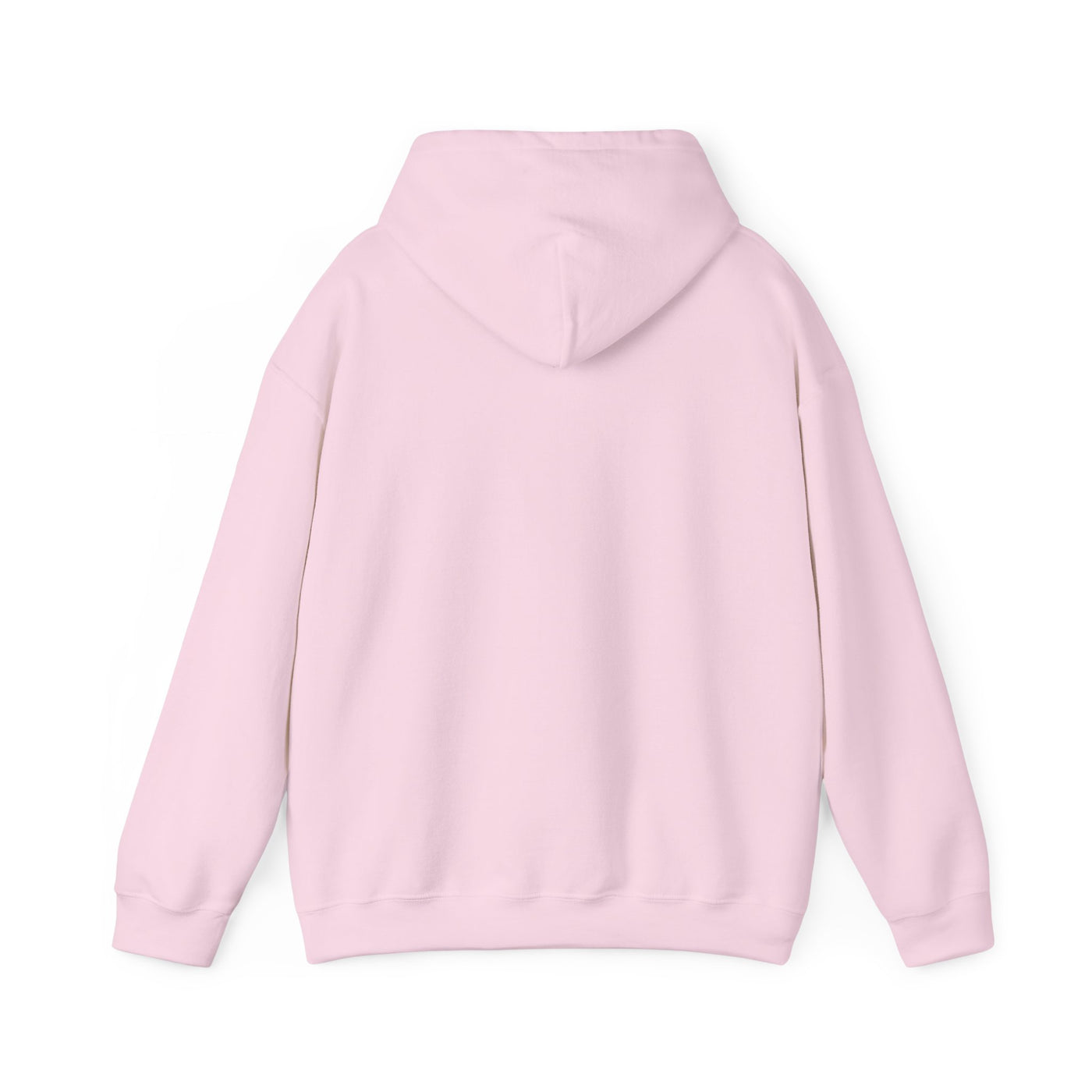 PInk Varsity Hoodie