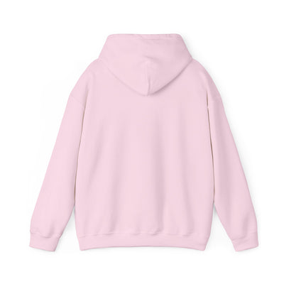 PInk Varsity Hoodie