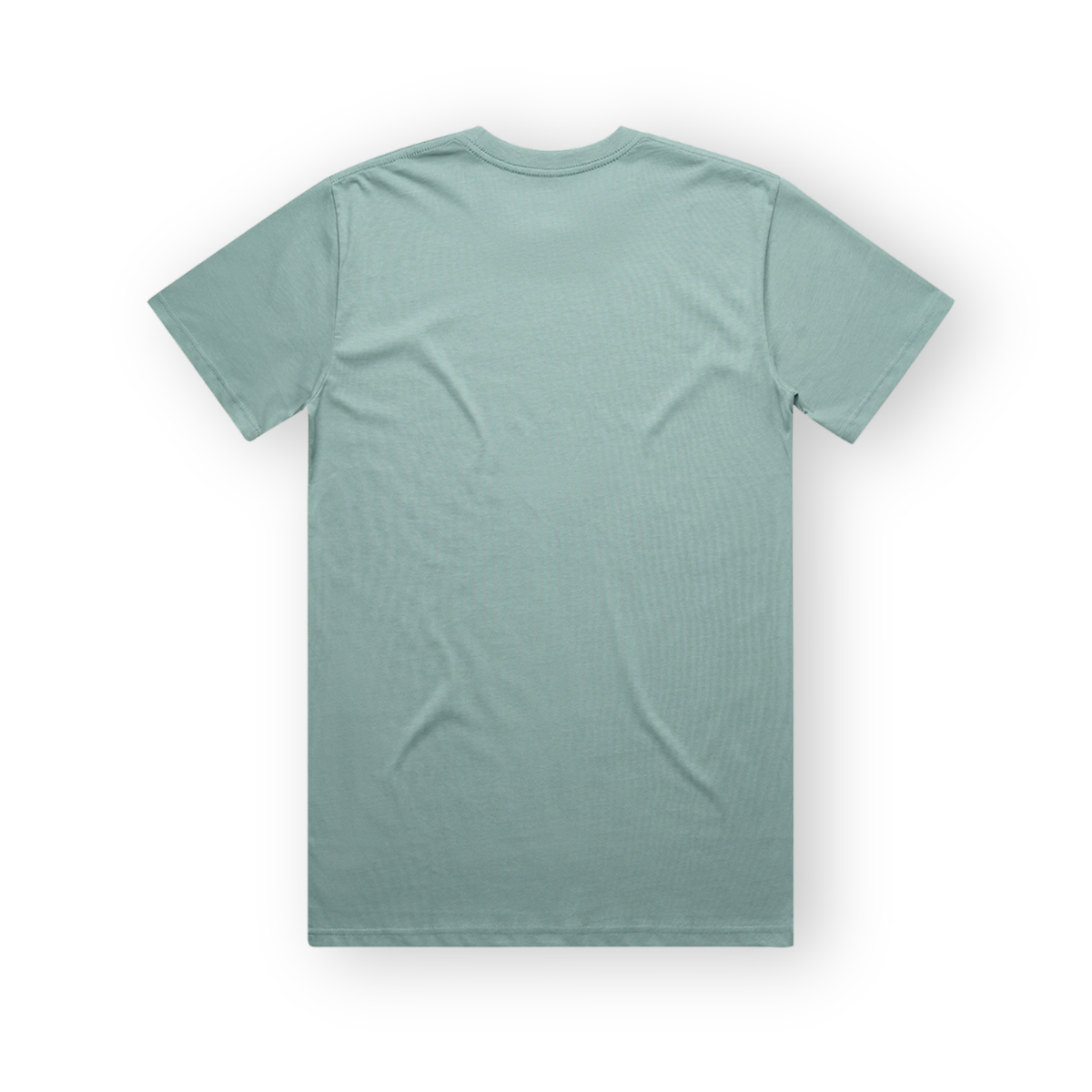 PSF Collective Back view of the sage green PSF-104 crew-neck t-shirt with short sleeves, featuring soft, slightly textured fabric on a plain white background. Designed for the Unwind